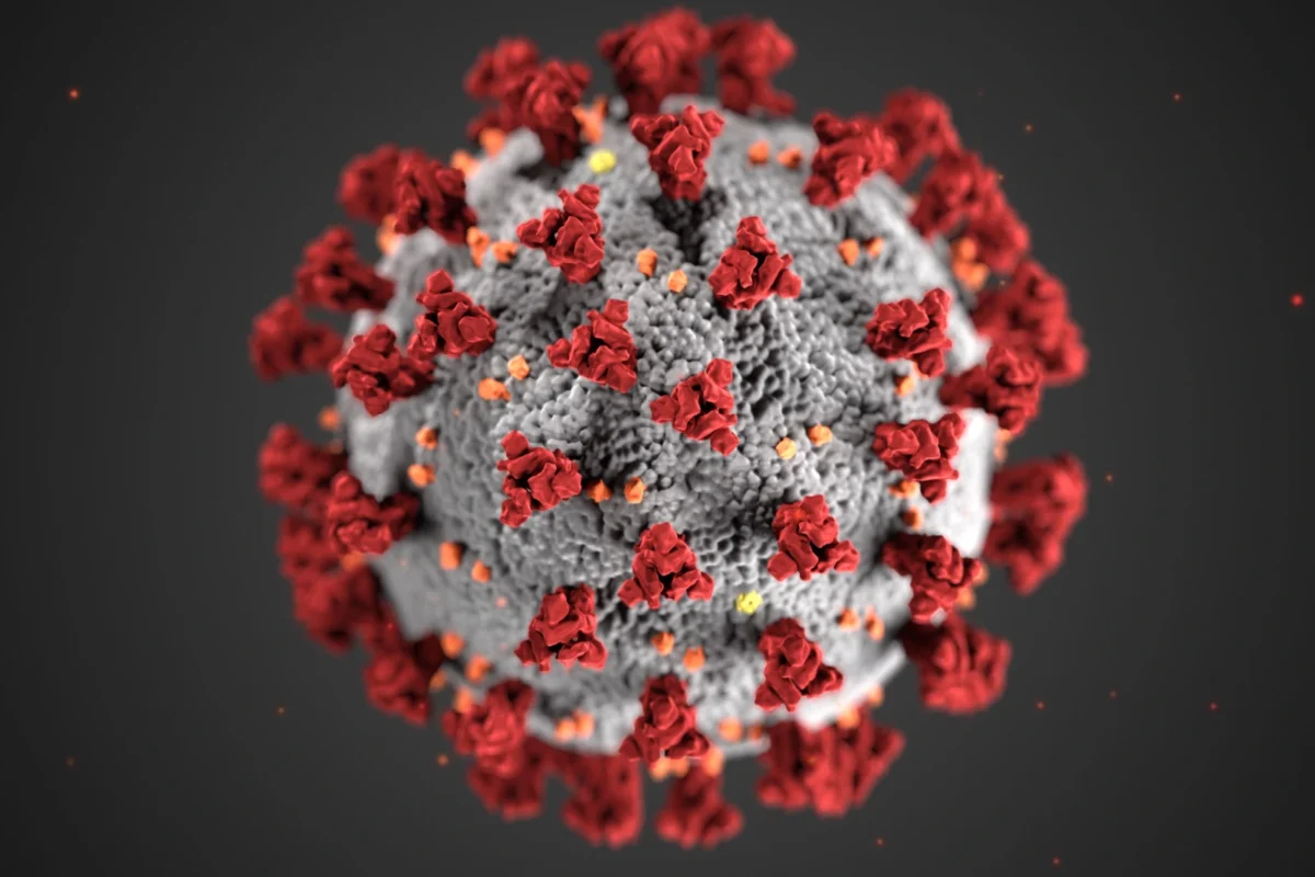 Una nueva variante del coronavirus en la Argentina fue detectada por el Malbrán