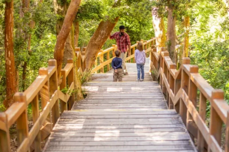 Villa La Angostura se prepara para la tercera edición del Festival Internacional de los Arrayanes