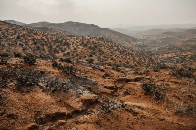 Los incendios naturales en la península del Levante podrían haber inspirado la alfarería neolítica