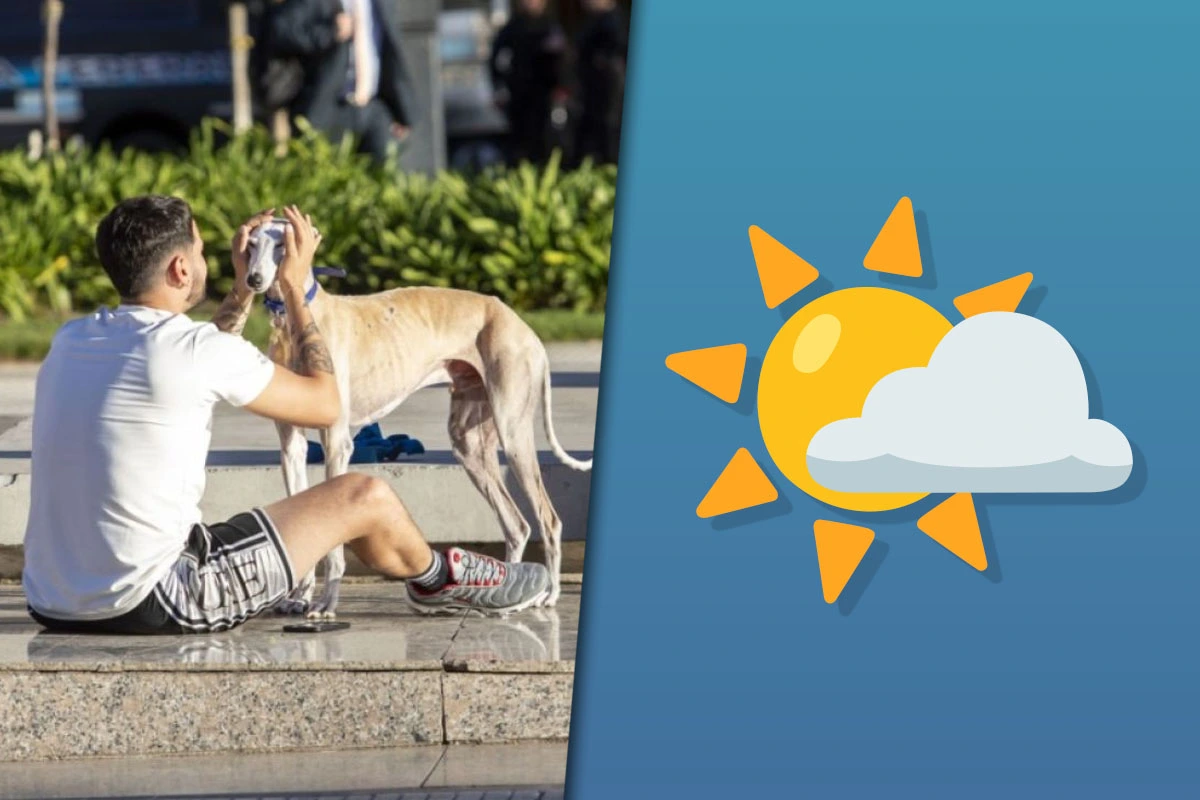 Clima en AMBA: suben las temperaturas y el domingo llegará el pico de calor