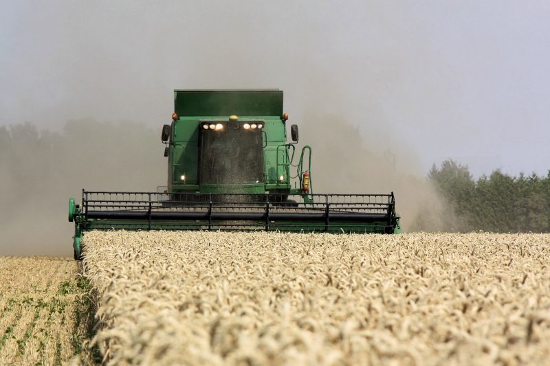 Las exportaciones agroindustriales crecieron 18% en el acumulado del ano