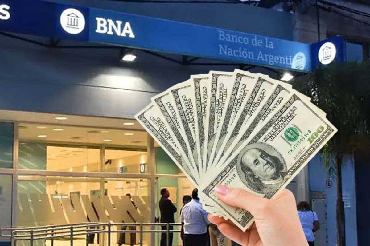 Plazo fijo en dólares: qué bancos ofrecen las tasas más altas en octubre de 2026