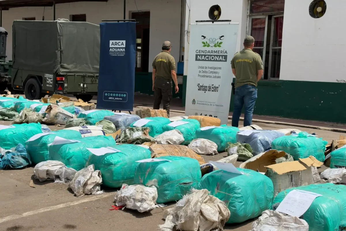 El Gobierno secuestró 657 kilos de hojas de coca valuados en más de $72 millones